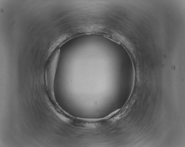 X0000066120105200603101245