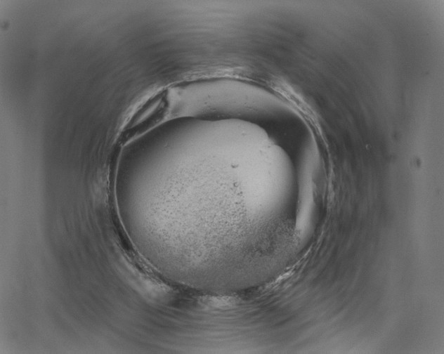 X0000066120107200603101245