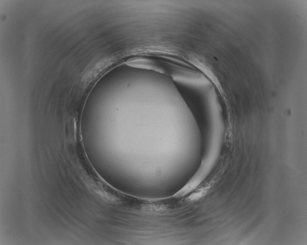 X0000066120109200603101245