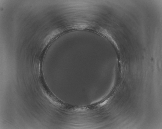 X0000066120110200603101245