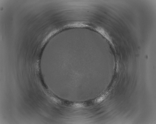 X0000066120111200603101245