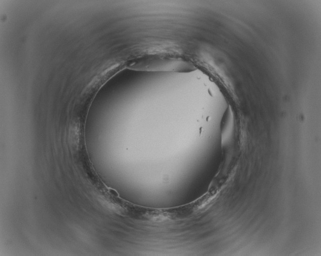 X0000066120113200603101245