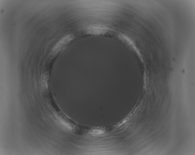 X0000066120114200603101245