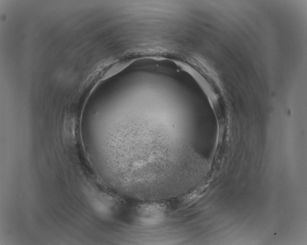 X0000066120115200603101245