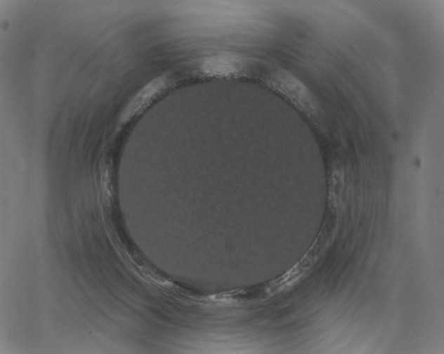 X0000066120116200603101245