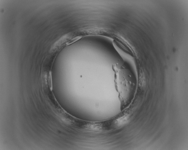 X0000066120117200603101245