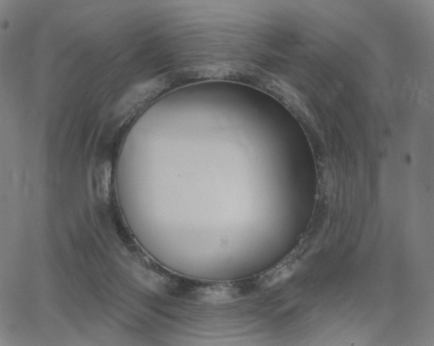 X0000066120118200603101245