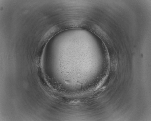 X0000066120119200603101245