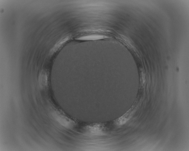 X0000066120120200603101245