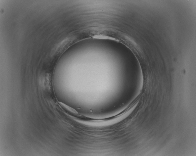 X0000066120121200603101245