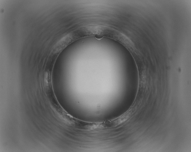 X0000066120122200603101245