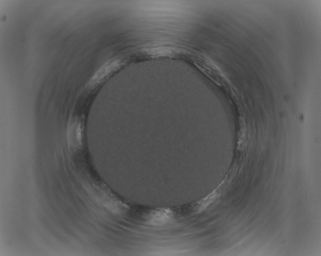 X0000066120124200603101245