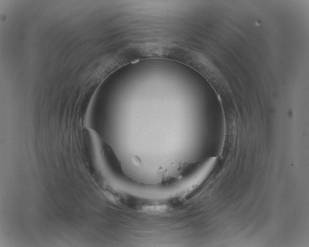 X0000066120125200603101245