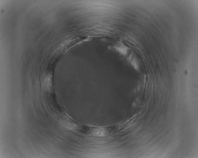 X0000066120127200603101245