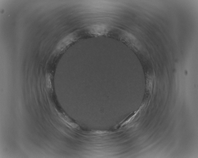 X0000066120128200603101245