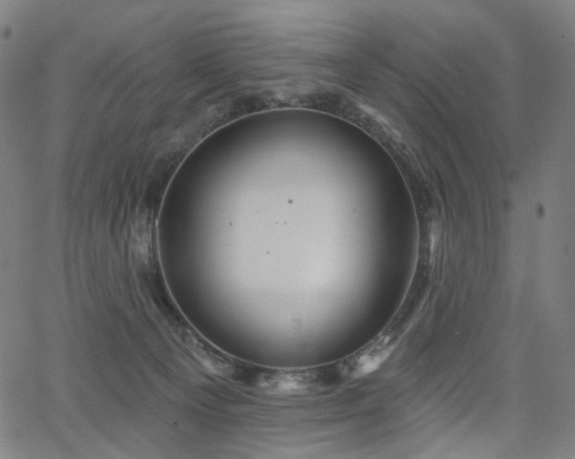 X0000066120129200603101245