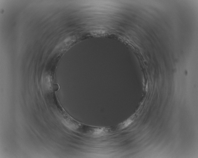 X0000066120130200603101245