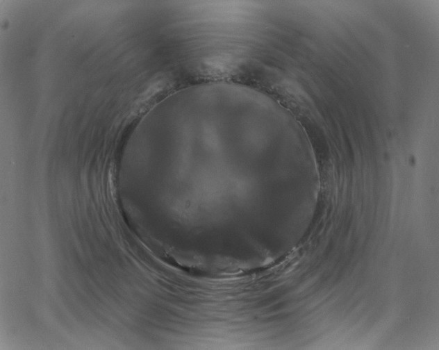 X0000066120131200603101245