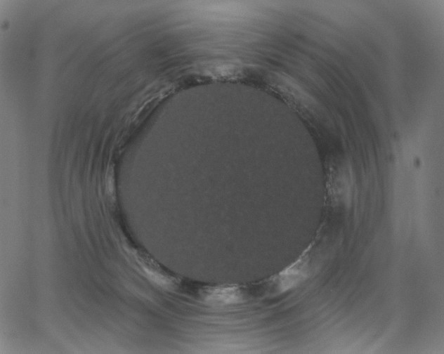 X0000066120132200603101245