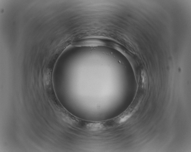 X0000066120133200603101245