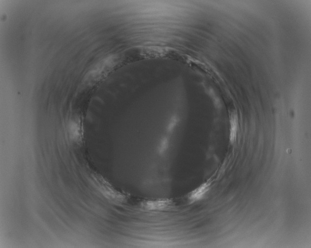 X0000066120134200603101245