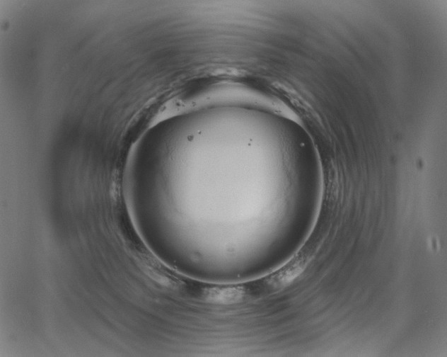 X0000066120135200603101245