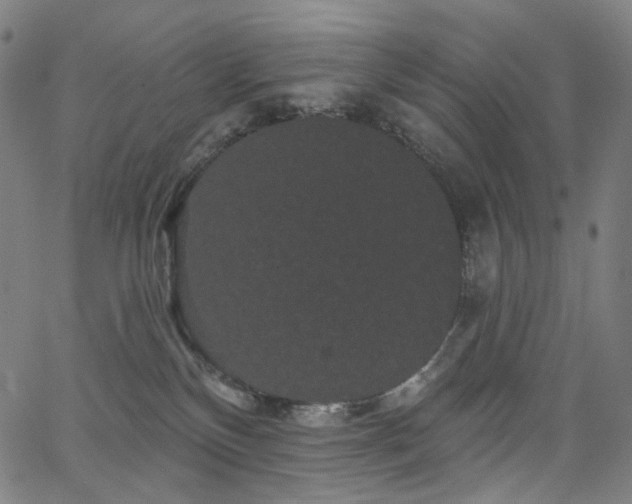 X0000066120136200603101245