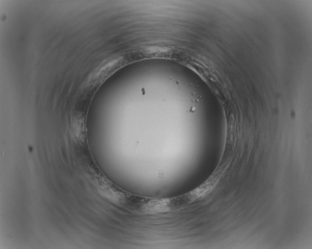 X0000066120138200603101245