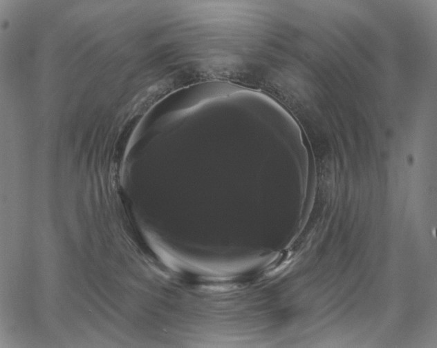 X0000066120139200603101245