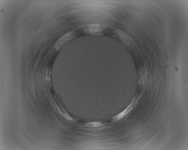 X0000066120140200603101245