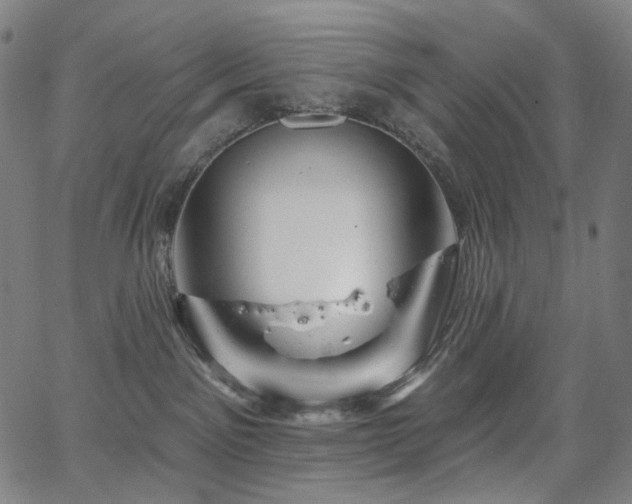 X0000066120141200603101245