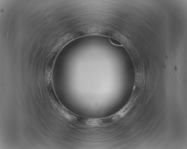 X0000066120142200603101245