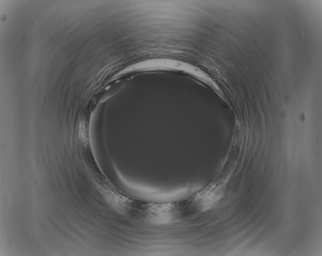 X0000066120143200603101245