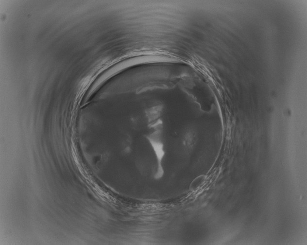 X0000066120145200603101244