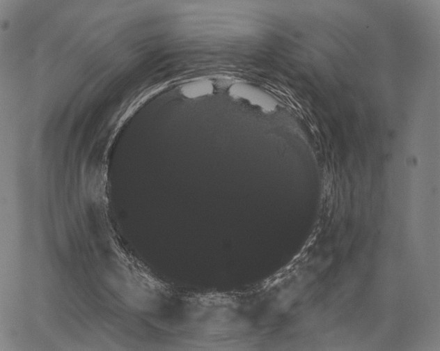 X0000066120146200603101244