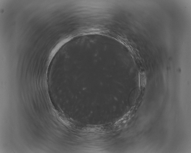 X0000066120147200603101244