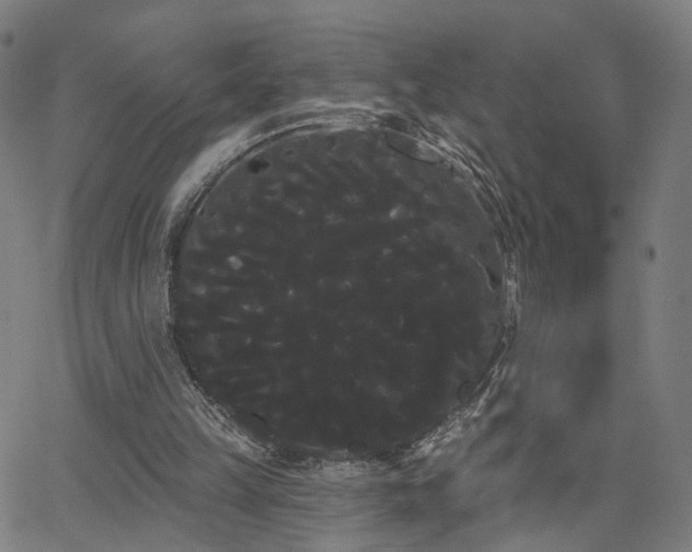 X0000066120149200603101244