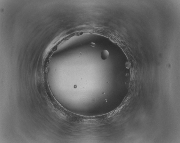 X0000066120150200603101244