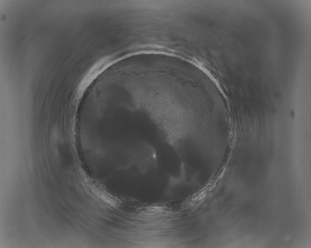 X0000066120151200603101244