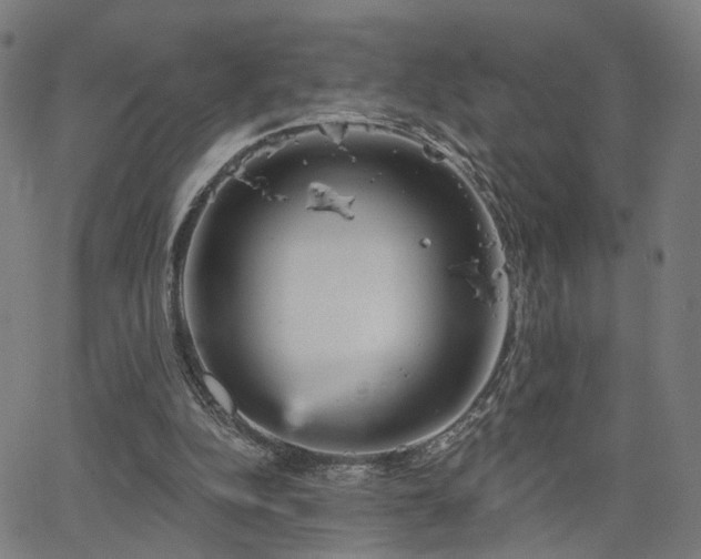 X0000066120152200603101244