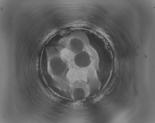 X0000066120153200603101244