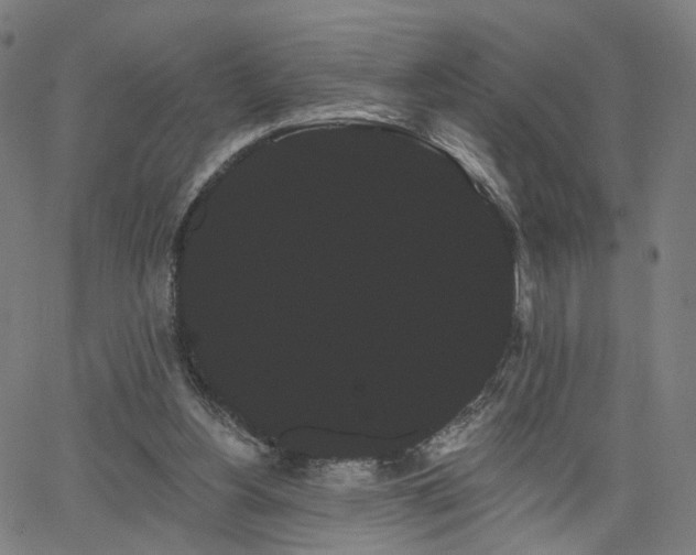 X0000066120156200603101244