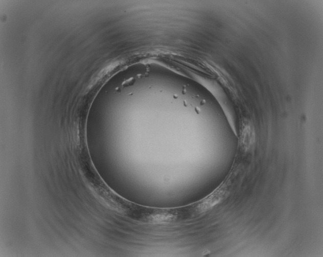 X0000066120158200603101244