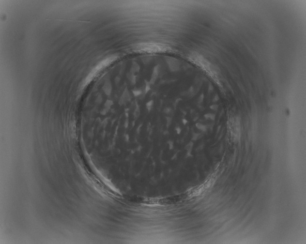 X0000066120159200603101244