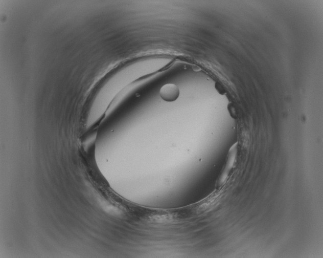 X0000066120160200603101244