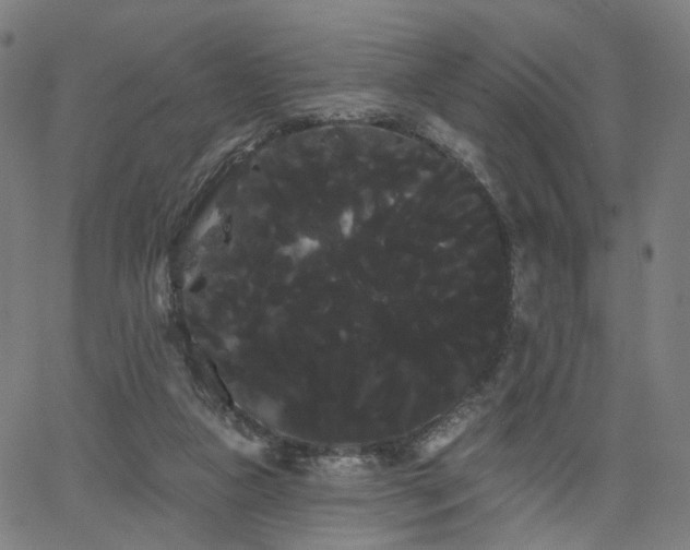 X0000066120161200603101244