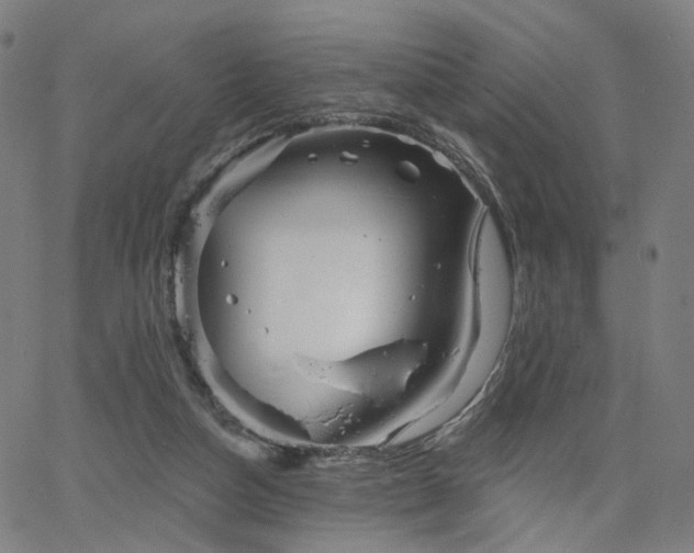 X0000066120162200603101244