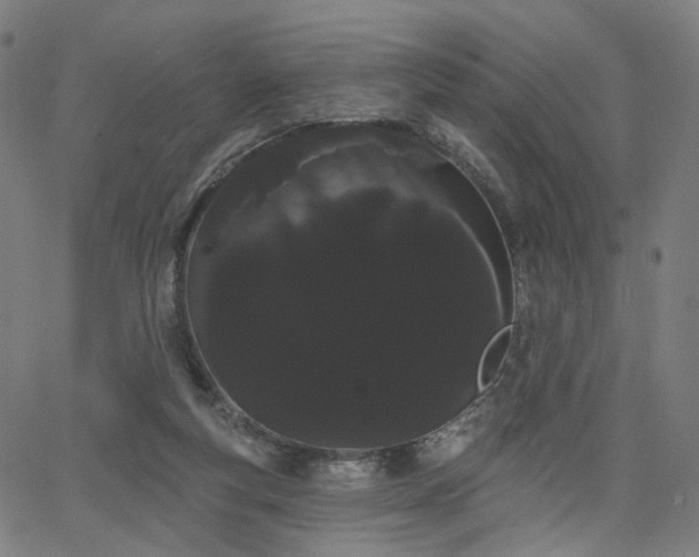 X0000066120163200603101244