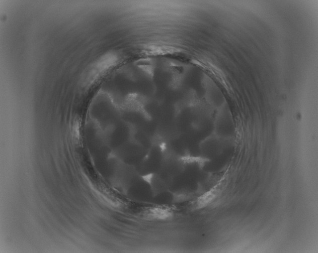 X0000066120166200603101244