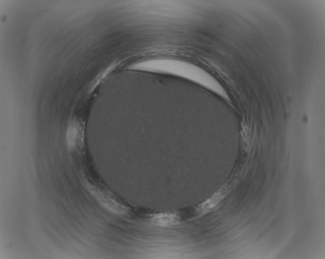 X0000066120168200603101244